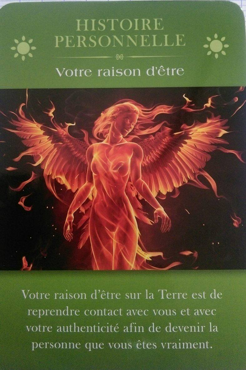 01 votre raison d'être - Cartes d'inspiration Aimer sa Vie - Marc Babin et Sylvie Goudreau